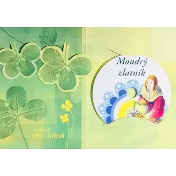 Počítačová hra Moudrý zlatník - CD, DDD /dárkový obal/