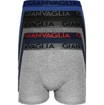 Dan pánské boxerky 023 - 5bal L vícebarevná