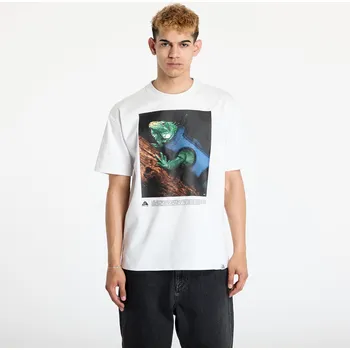 Pánské tričko Tričko Nike ACG Men's Dri-Fit T-Shirt Summit White XS