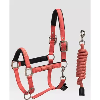 Ohlávka + vodítko Equiline Cuates full oranžová