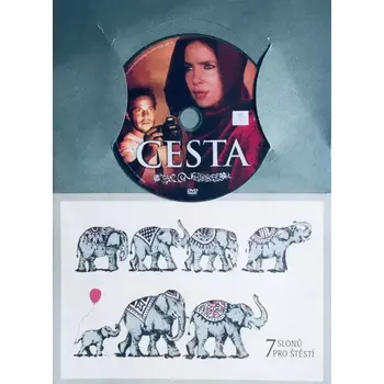DVD film Cesta - DVD /dárkový obal/