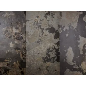 Obklad Přírodní obkladový kámen ZLÍN Kamenná DÝHA 122x61 cm - VZOR 4