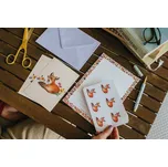 ePipí Dopisní sada Liška Varianta: Kompletní dopisní sada