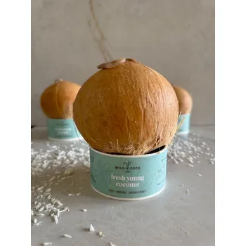 kokosové mléko Prémiový mladý kokos BIO