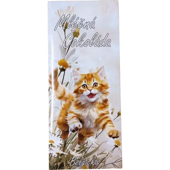 Čokoláda Mléčná čokoláda Kočička [Jamira, 100 g]