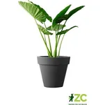 Obal Pure Round - antracit 80 cm