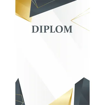 ETROFEJE diplom 17 modern