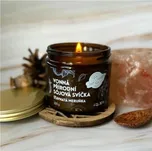 Přírodní vonná sójová svíčka Šťavnatá meruňka 220