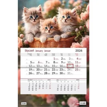 Kalendář Kalendarz 2026 jednodzielny Kotki