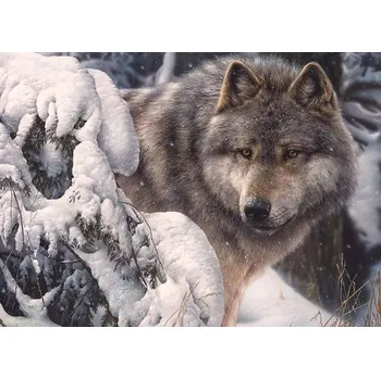 Puzzle Puzzle Pán severu 1000 dílků COBBLE HILL