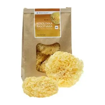 Doplněk stravy TCM BOHEMIA 495 - 110 Rosolovka řasotvará, Tremella BAI MU ER 100g