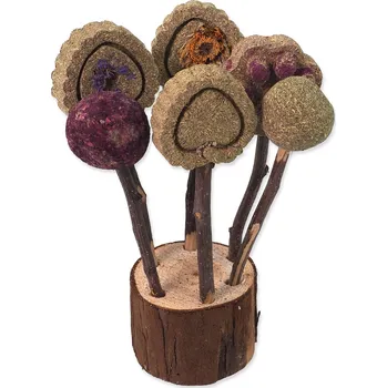 Hračka Small Animals lízátka okusovací 17cm