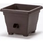 Plastia Bergamot 50 cm