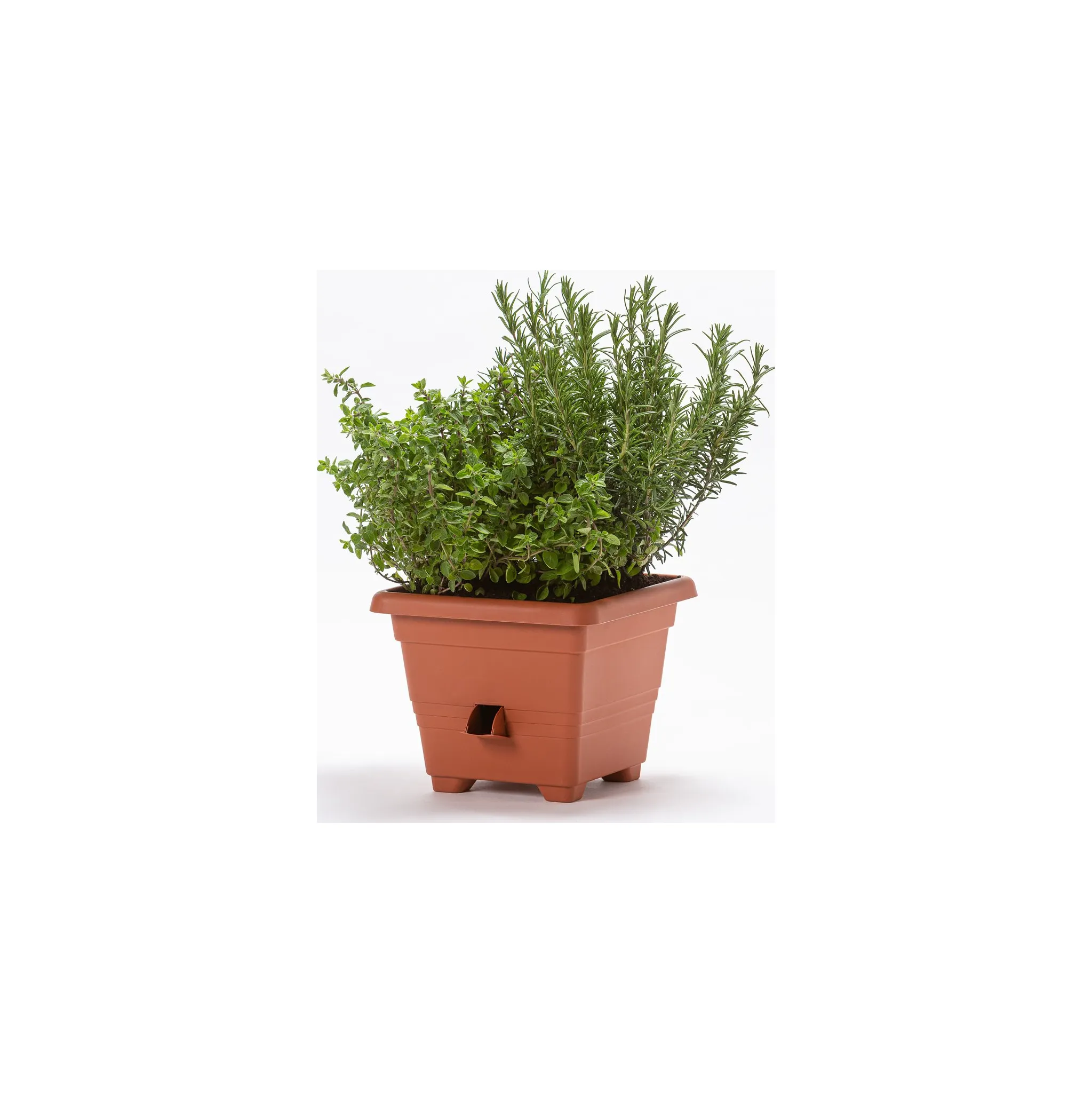 Fotografie 3 - Květináč Plastia Bergamot 50 cm terakota