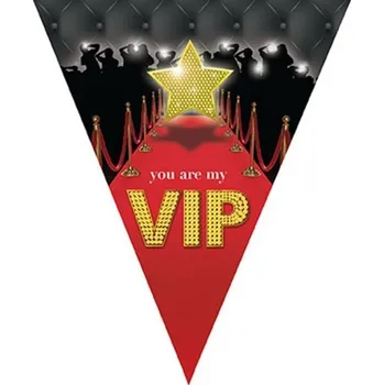 Girlanda vlajková VIP - 5m