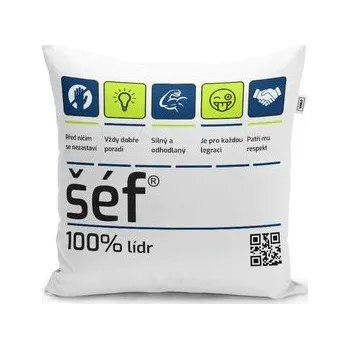 Polštář Šéf: 40x40 cm