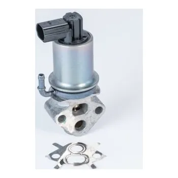 Ventil palivového systému AGR-Ventil BORGWARNER 710788D0