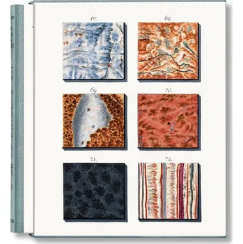 Umění Jan Christiaan Sepp: The Book of Marble