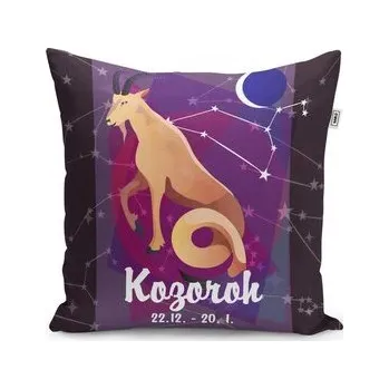 Polštář Kozoroh: 40x40 cm