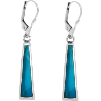 Náušnice Argento 63079 Stříbrné náušnice