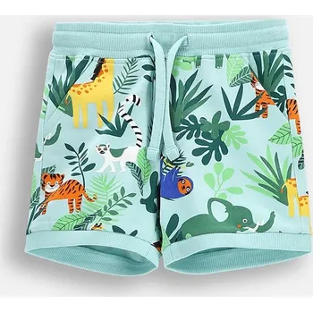 Pánské oblečení Kraťasy Coccodrillo WC5121503TBN vícebarevná MLC, vel. 68