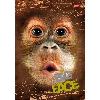 desky na sešit Desky s gumou složka na sešity A4 zvířata