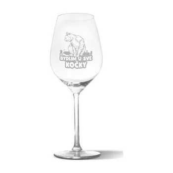 Sklenice Sklenička na víno Bydlím u své kočky: 49 cl