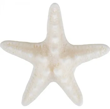 Karnevalový doplněk Sponka hvězdice mořská panna