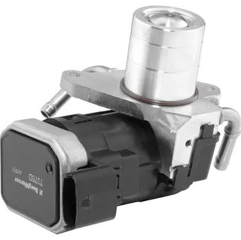 Ventil palivového systému AGR-Ventil BORGWARNER 7375D