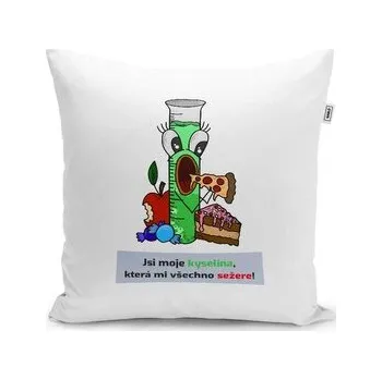 Polštář Jsi moje kyselina: 40x40 cm