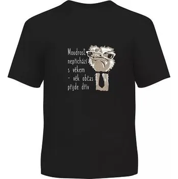 ALBI Pánské tričko - Moudrost nepřichází s věkem, vel. L