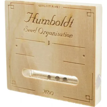 Semeno VÝPRODEJ Dedoverde Haze – feminizovaná semena | Humboldt Seed Organisation Počet semen: 10