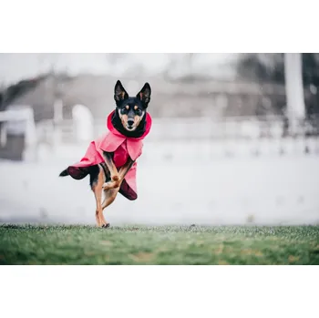 Obleček pro psa REFLEXNÍ PLÁŠTĚNKA PAIKKA RŮŽOVÁ LITE 60