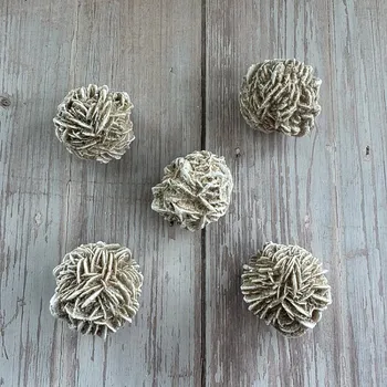 Nefertitis Pouštní růže 3 - 4 cm