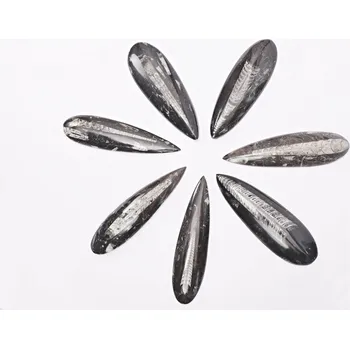 Přírodní kámen Magieprirody.cz Fosilie Orthoceras 12 - 15 cm (Maroko) #701 zkamenělina