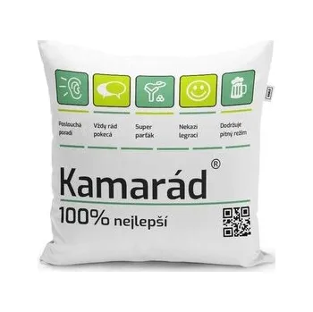 Polštář Kamarád: 40x40 cm