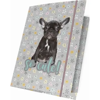 Desky s gumou A4 Pes buldoček