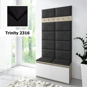 Předsíňová stěna Eka Předsíňová stěna s čalouněnými panely Trinity 1 - Bílá sonoma / Černá 2316