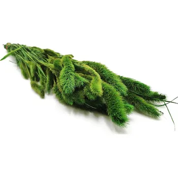 mech-mech.cz Stabilizovaná Setaria - Zelená