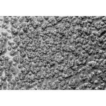 barva na beton Protiskluzový nátěr z epoxidové pryskyřice, extra silný, hrubá zrna, šedý, 5 kg