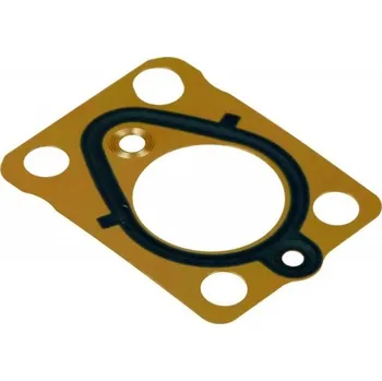 Palivový systém O-kroužek vstřikovacího čerpadla Citroën C4 2,0 06- DELPHI