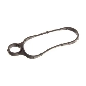 Vakuové čerpadlo Těsnění podtlakového čerpadla Ford Focus 2.0 12- LR039593 AJUSA