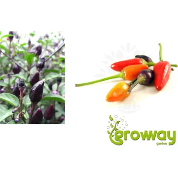 Semeno Fairy Lights 10 ks