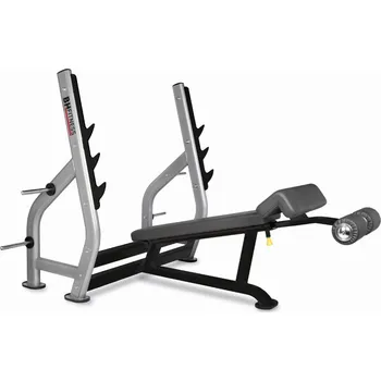 Posilovací věž Posilovací lavice BH FITNESS L855 bench v negativním úhlu