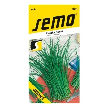 Semeno Pažitka pravá jemná