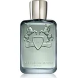 Parfums De Marly Castley parfémovaná voda pro muže 125 ml