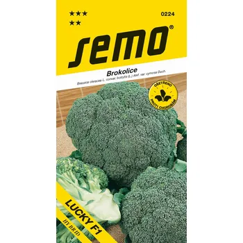 Semeno Brokolice Lucky F1