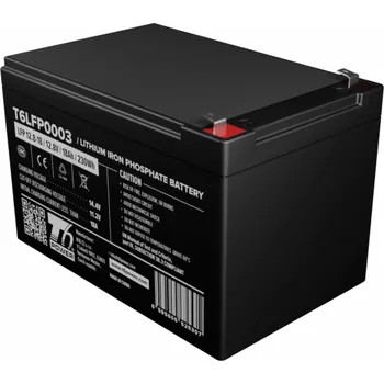 T6 POWER LiFePO4 12.8 V 18 Ah