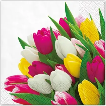 Papírový kapesník Ubrousky PAW Dekor C (20ks) Bunch of Tulips