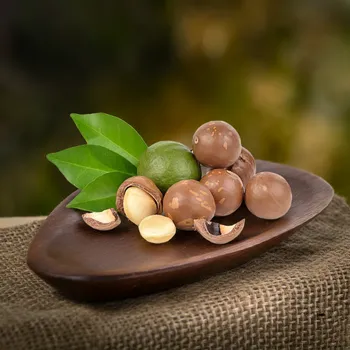 Krmivo pro hlodavce Makadamové ořechy nepražené ve skořápce (natural) 5 kg